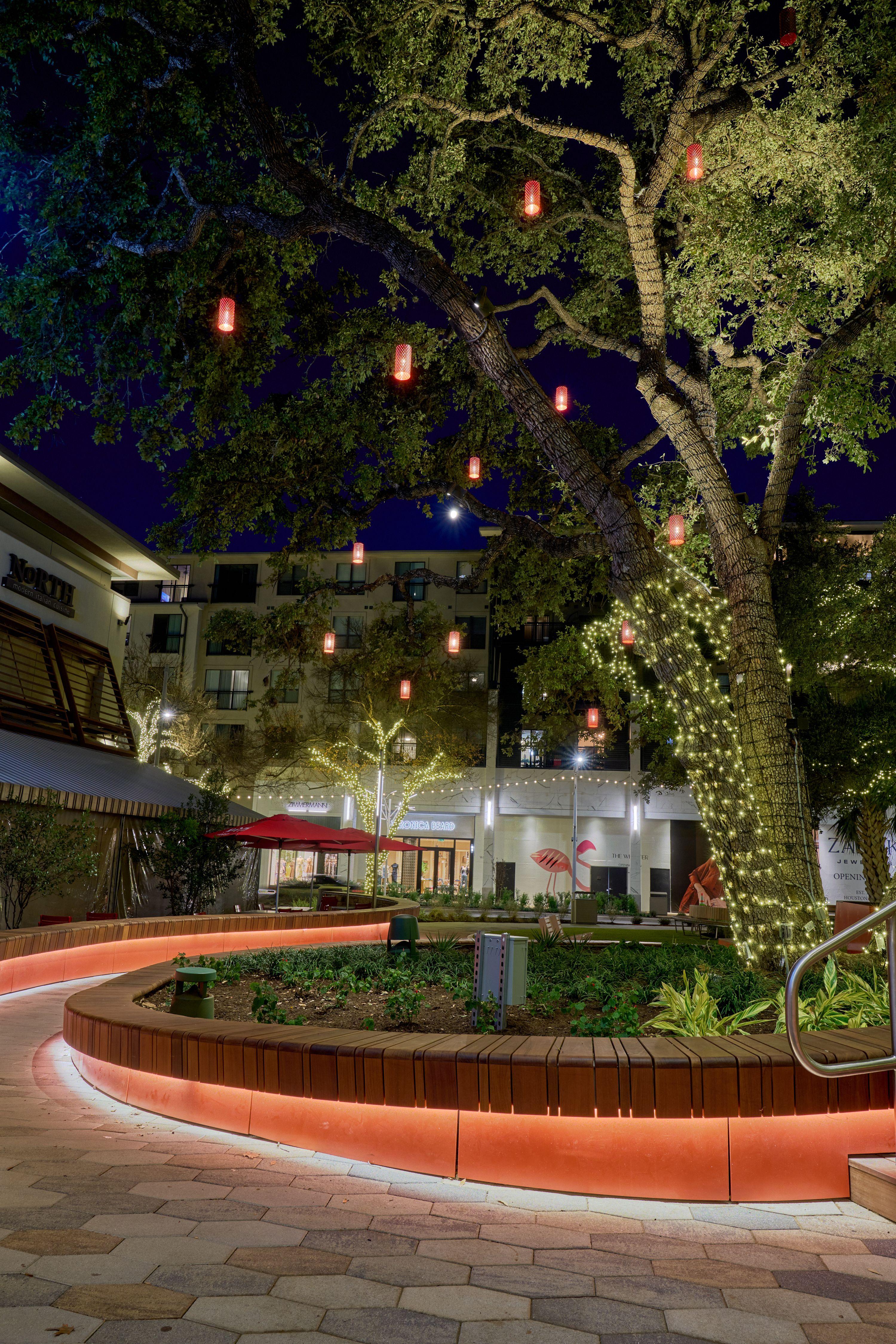 Domain plaza at blue hour, string light in the trees and apartments rising — The Domain photography, Austin The Domain plaza at blue hour, string light in the trees and apartments rising behind the curved seating