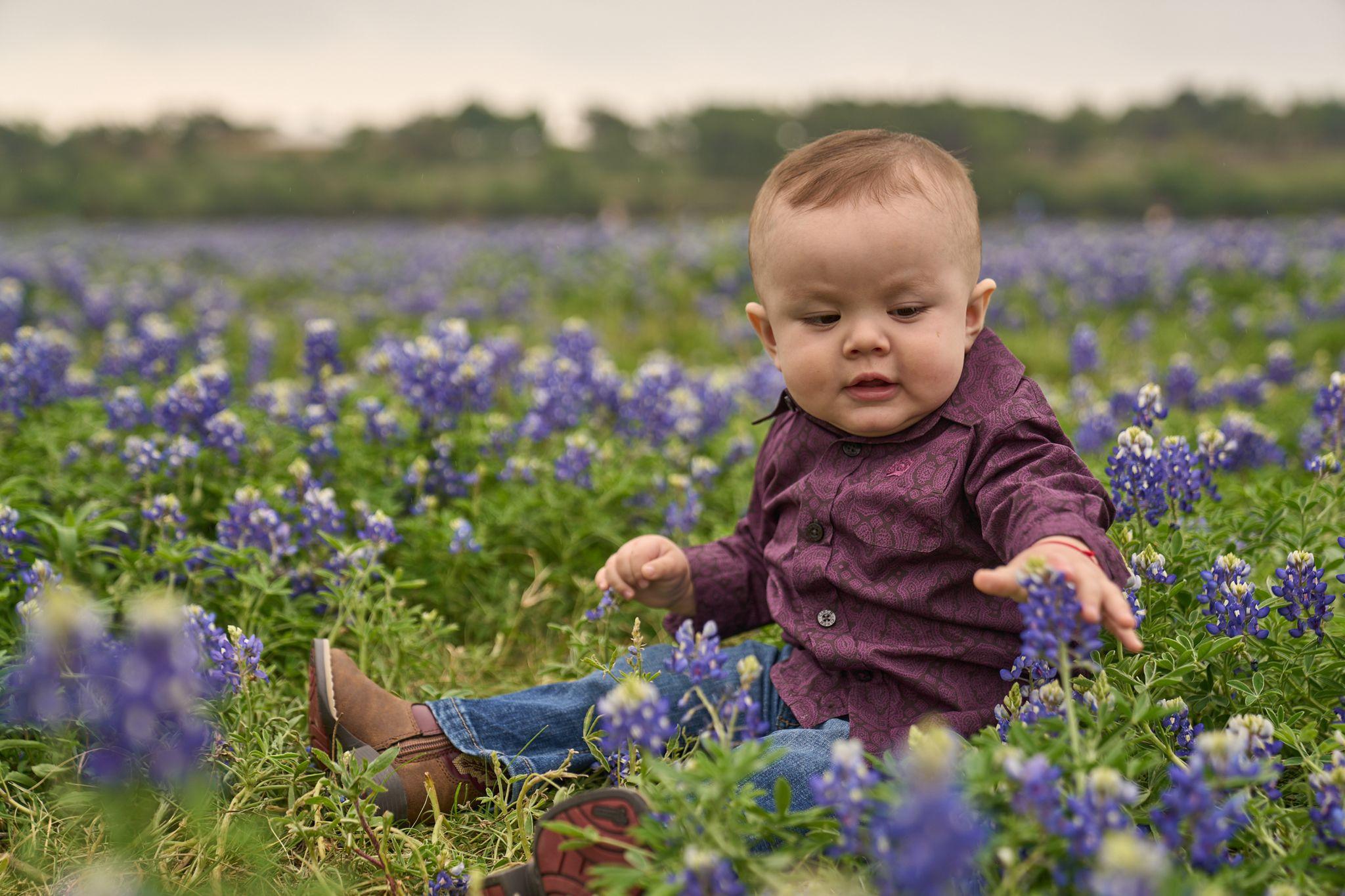 Baby in a maroon shirt sitting in a field of bluebonnets — Brushy Creek Lake Park photography, Austin A baby in a maroon shirt sitting in a field of bluebonnets.