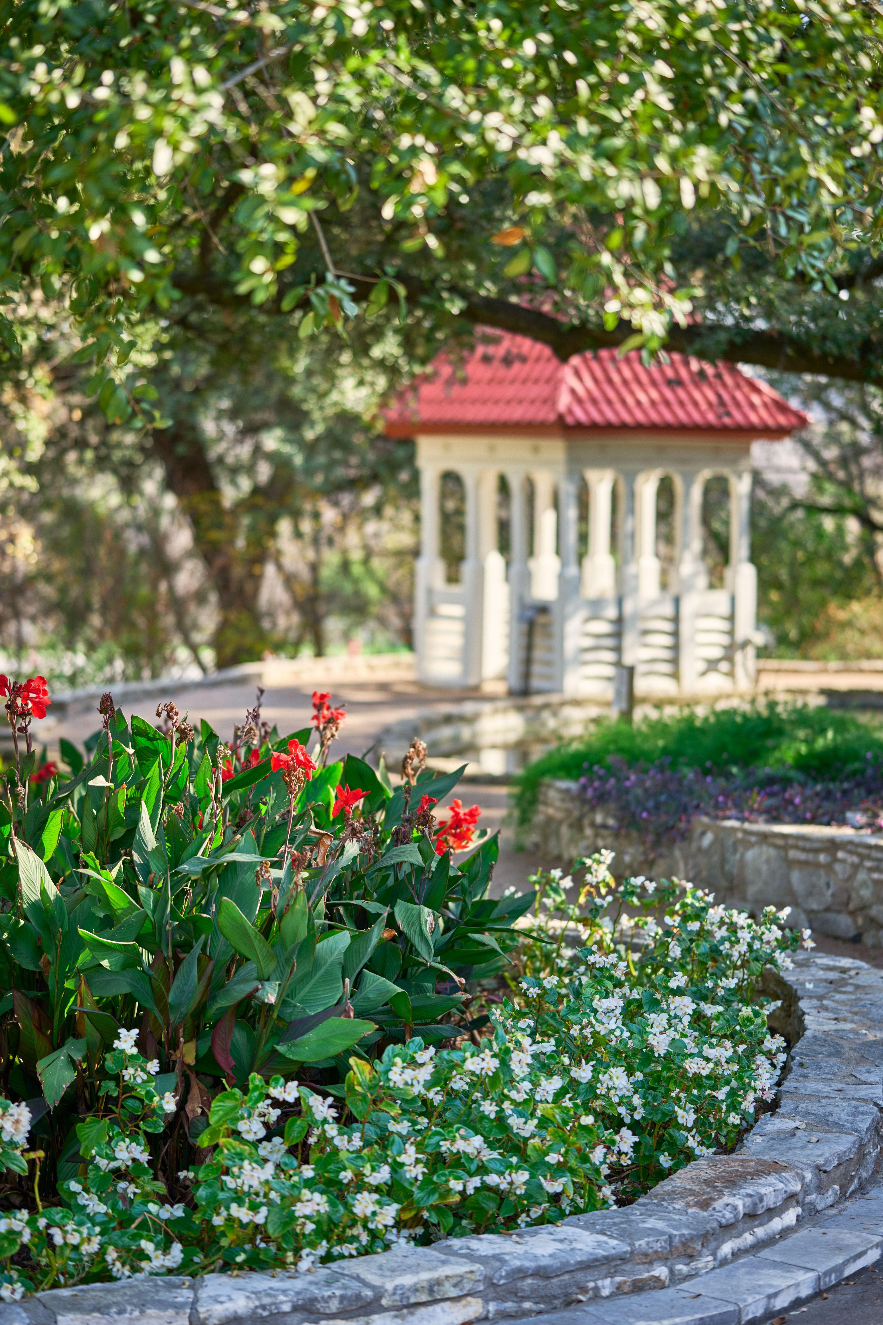 Bed of red canna lilies and white blooms in front of the garden gazebo — Zilker Botanical Gardens photography, Austin A bed of red canna lilies and white blooms in front of the garden gazebo at Zilker Botanical Garden