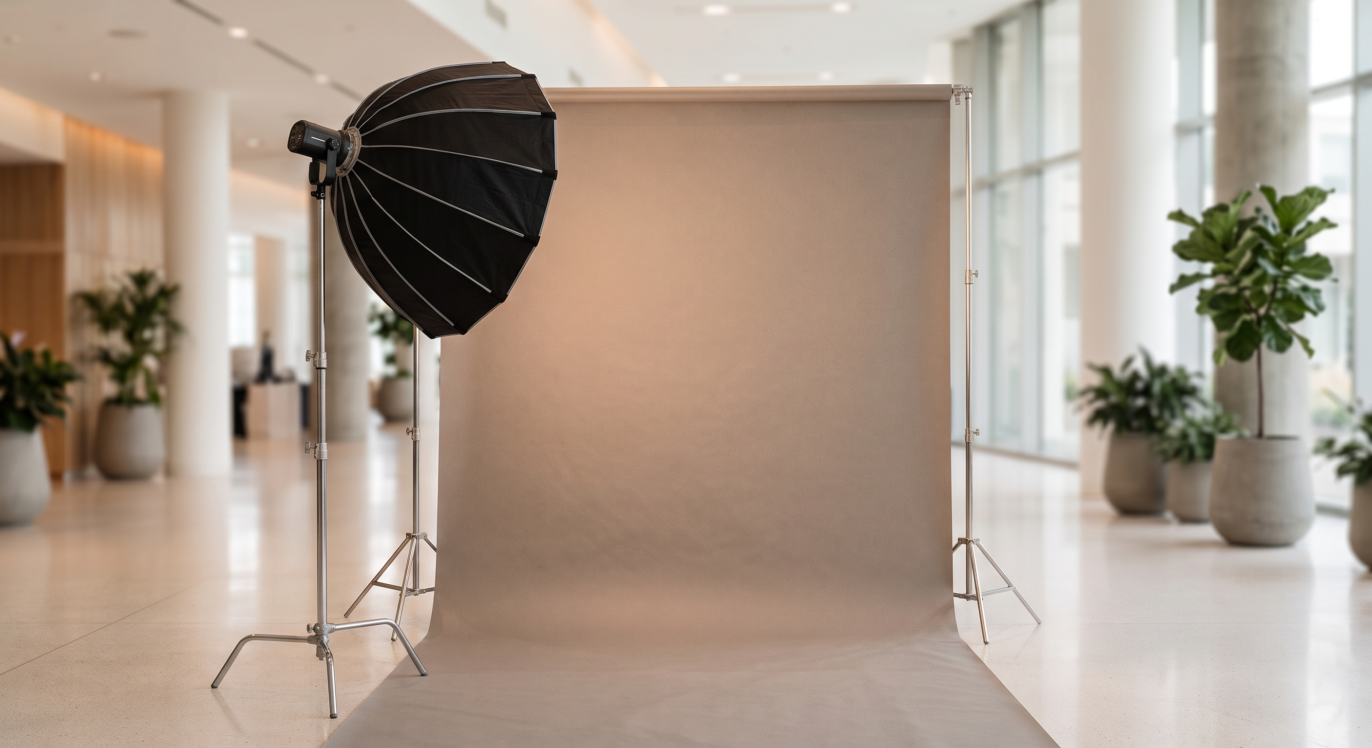 Headshot Booth set up in a corporate lobby — on-site headshot photography A seamless paper backdrop and softbox set up in a bright corporate lobby beside potted plants