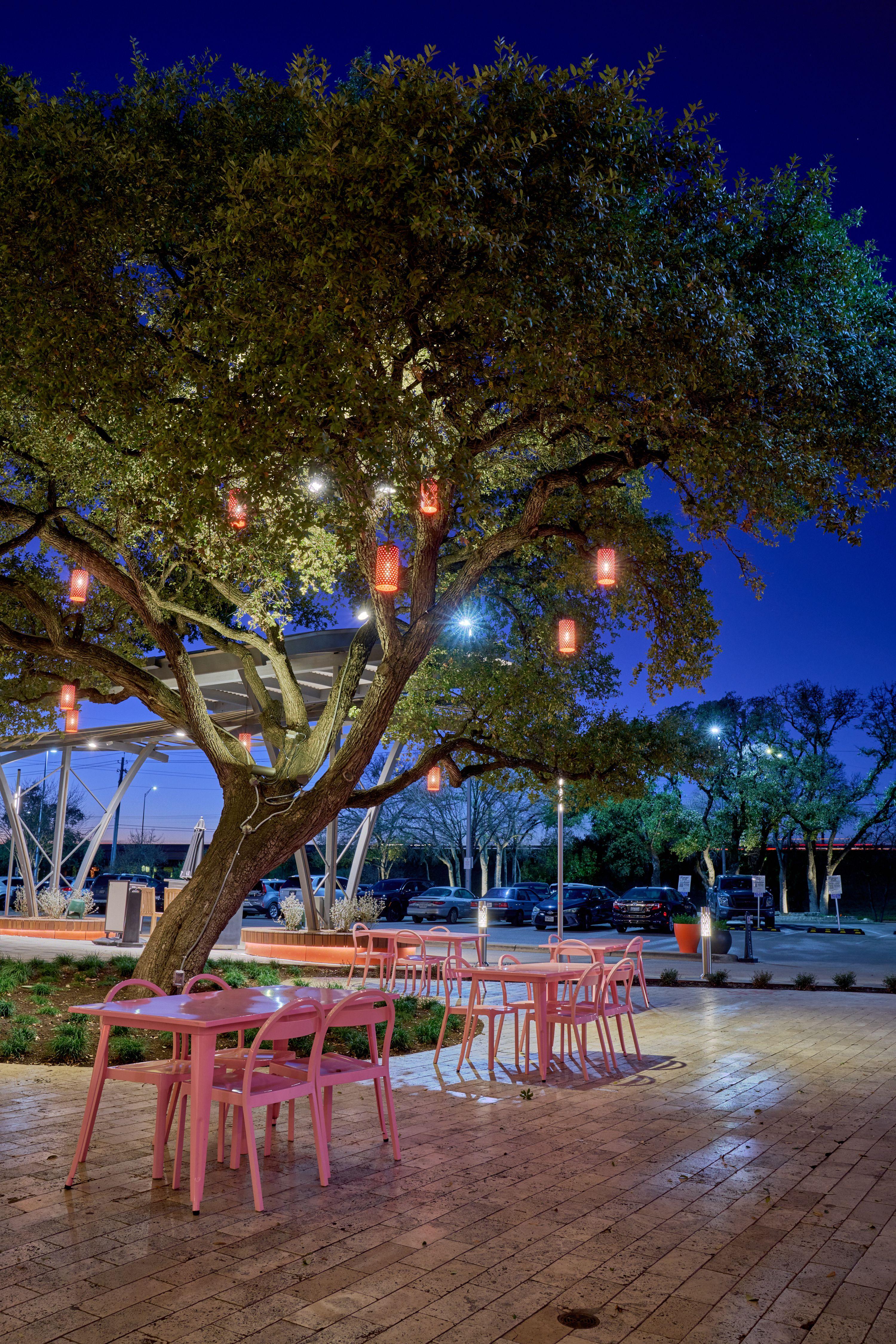 Pink cafe tables and chairs set out under a string-lit oak at blue hour in The Domain — The Domain photography, Austin Pink cafe tables and chairs set out under a string-lit oak at blue hour in The Domain