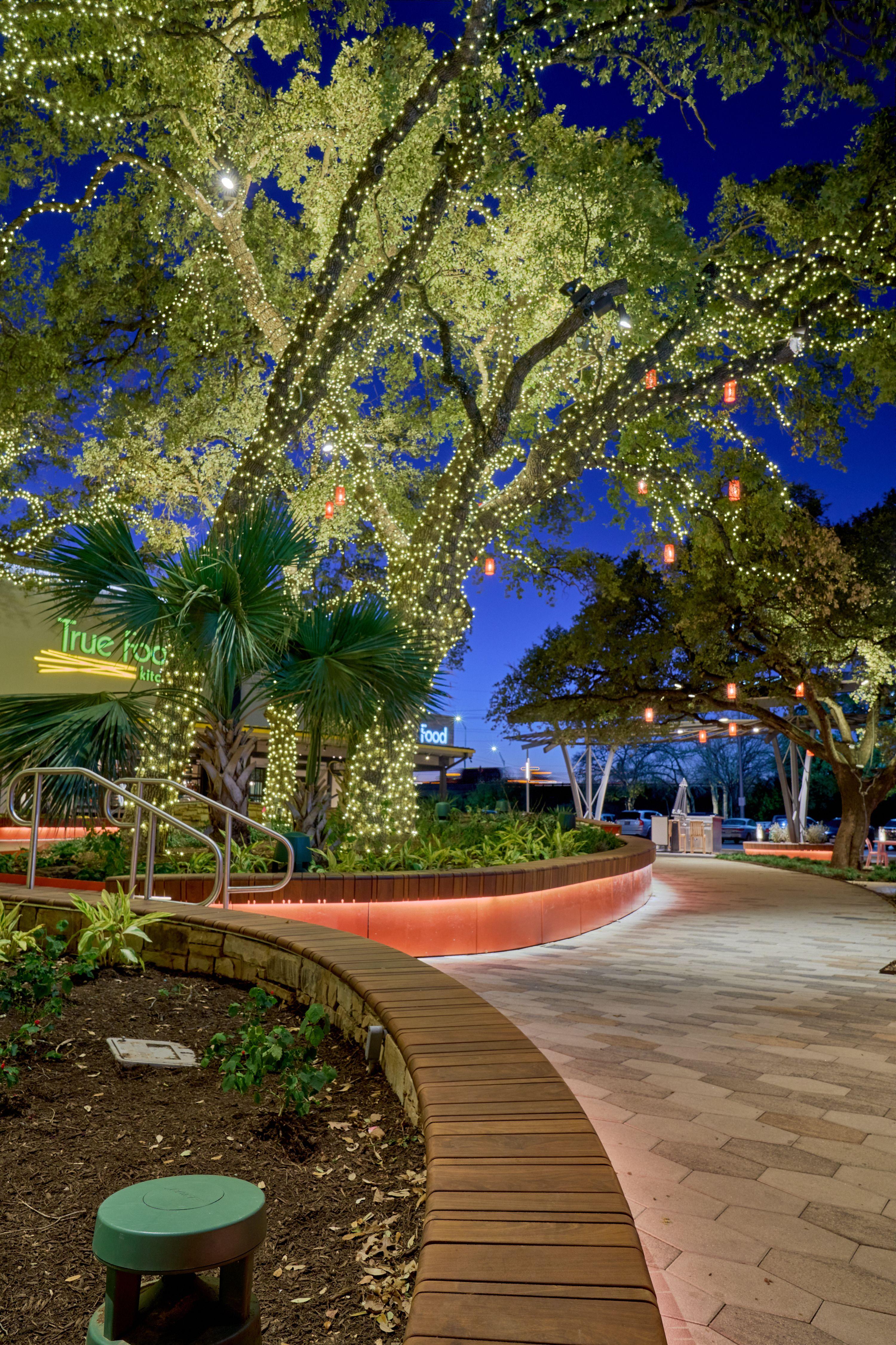Curved orange bench wrapping a planted bed under lit live oaks at blue hour in The Domain — The Domain photography, Austin A curved orange bench wrapping a planted bed under lit live oaks at blue hour in The Domain