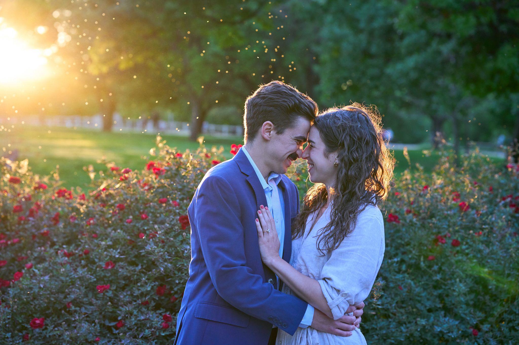Couple leaning their foreheads together among rose bushes in low sun — Butler Metro Park photography, Austin A couple leaning their foreheads together among rose bushes in low sun.