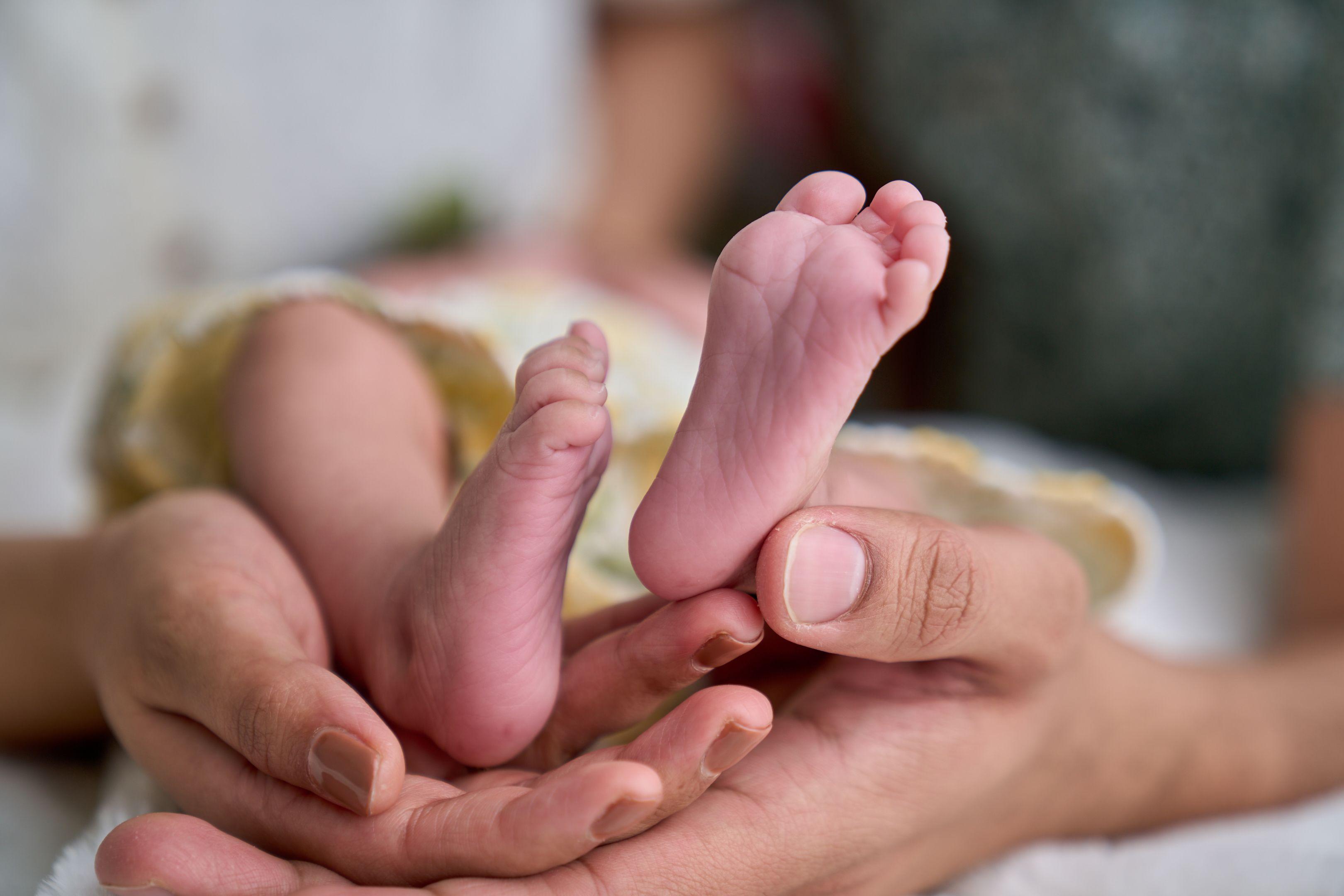 Newborn's bare feet cradled in an adult's open hands — Newborn photography, Austin A newborn's bare feet cradled in an adult's open hands.